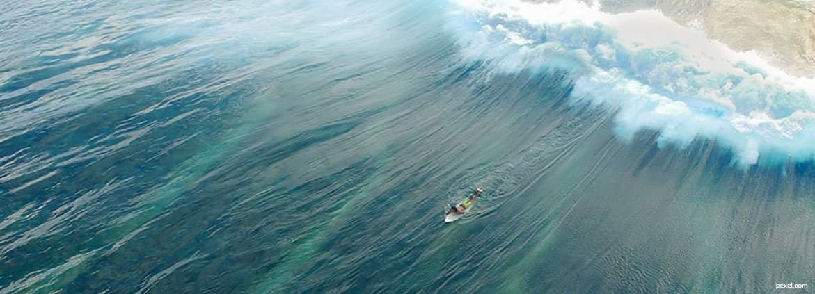 Stories  What is eutrophication?